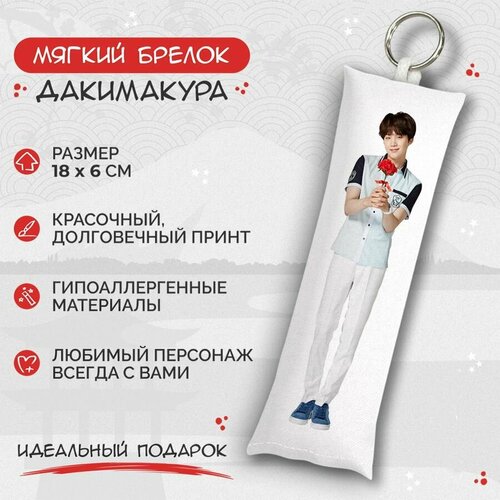 Брелок Anime Dakimakura, мультиколор брелок дакимакура мини bts чимин арт m0259