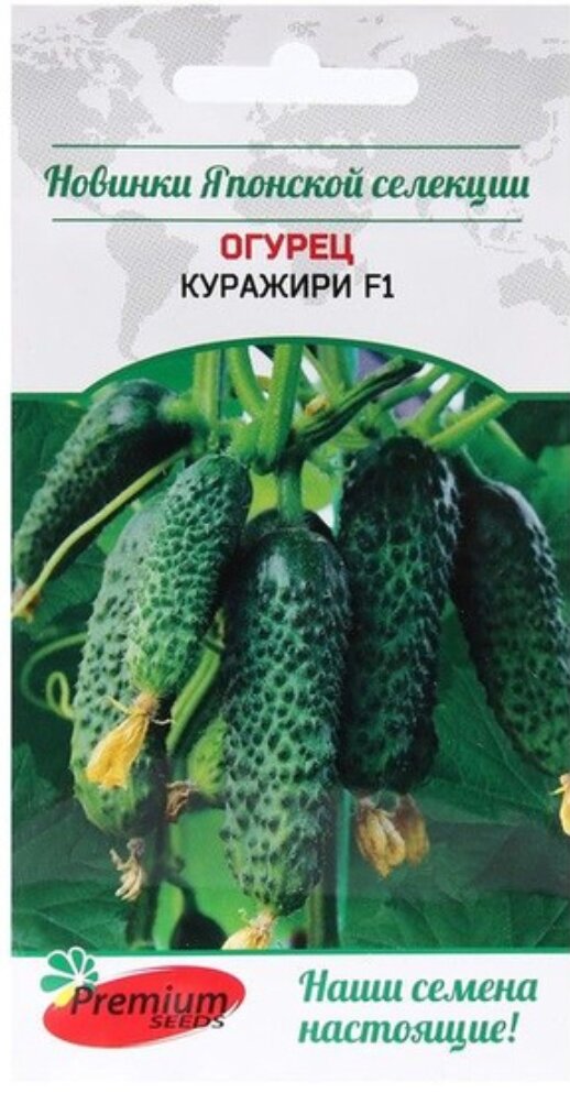 Огурец Куражири F1 (5сем)