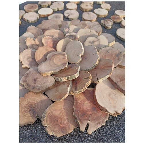 Спилы сибирского можжевельника 70 штук