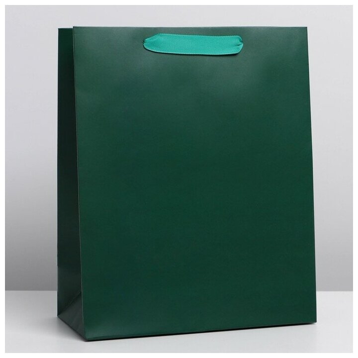 Дарите Счастье Пакет подарочный ламинированный, упаковка, «Изумрудный», ML 23 х 27 х 11.5 см