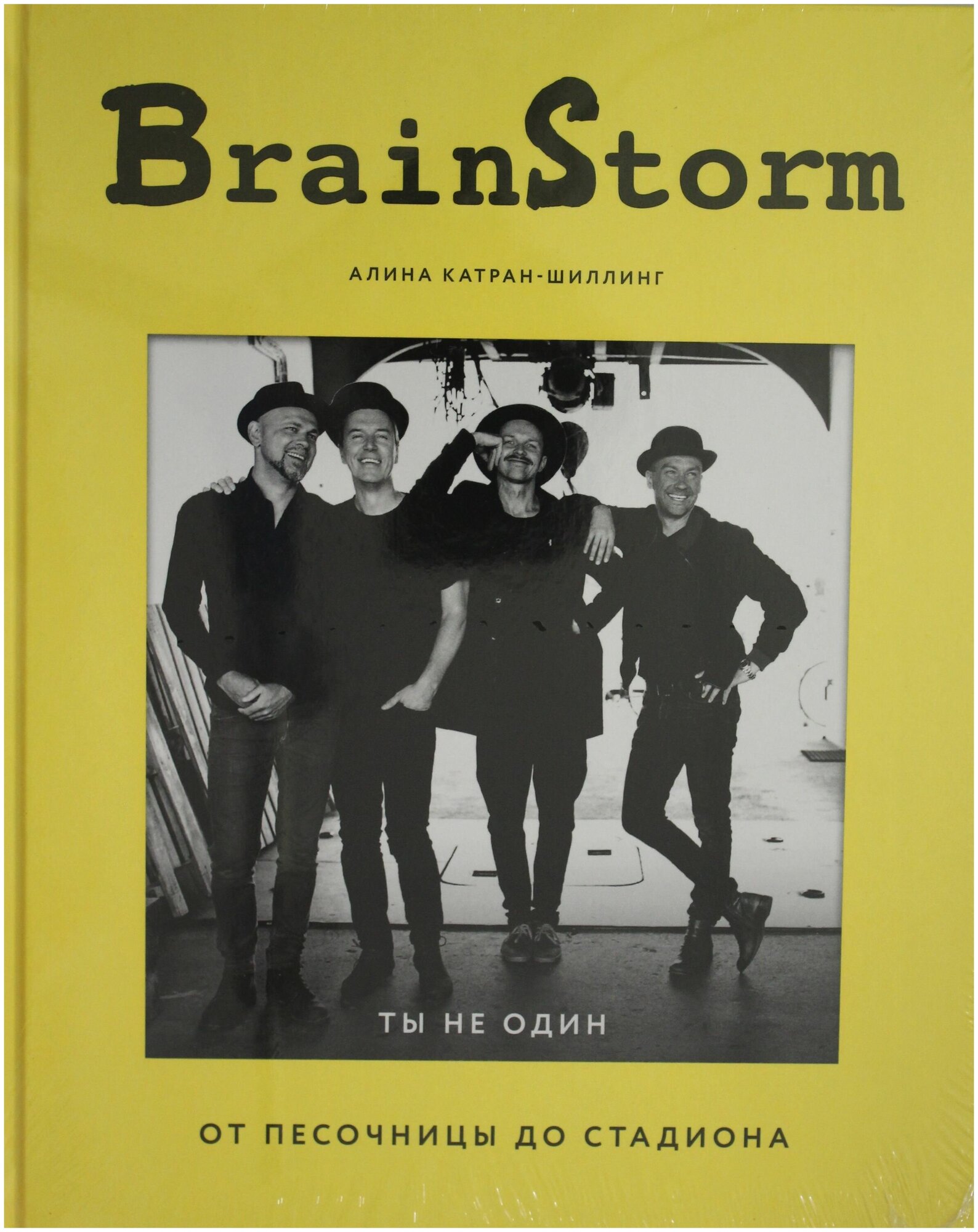 BrainStorm: Ты не один. От песочницы до стадиона - фото №2