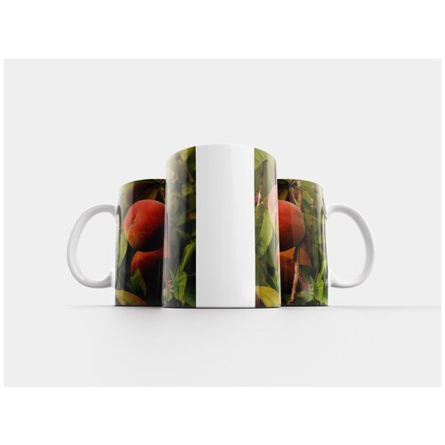 фото Кружка "лампион цветок, физалис алкекенги, декоративное растение" 320 мл lotsprints