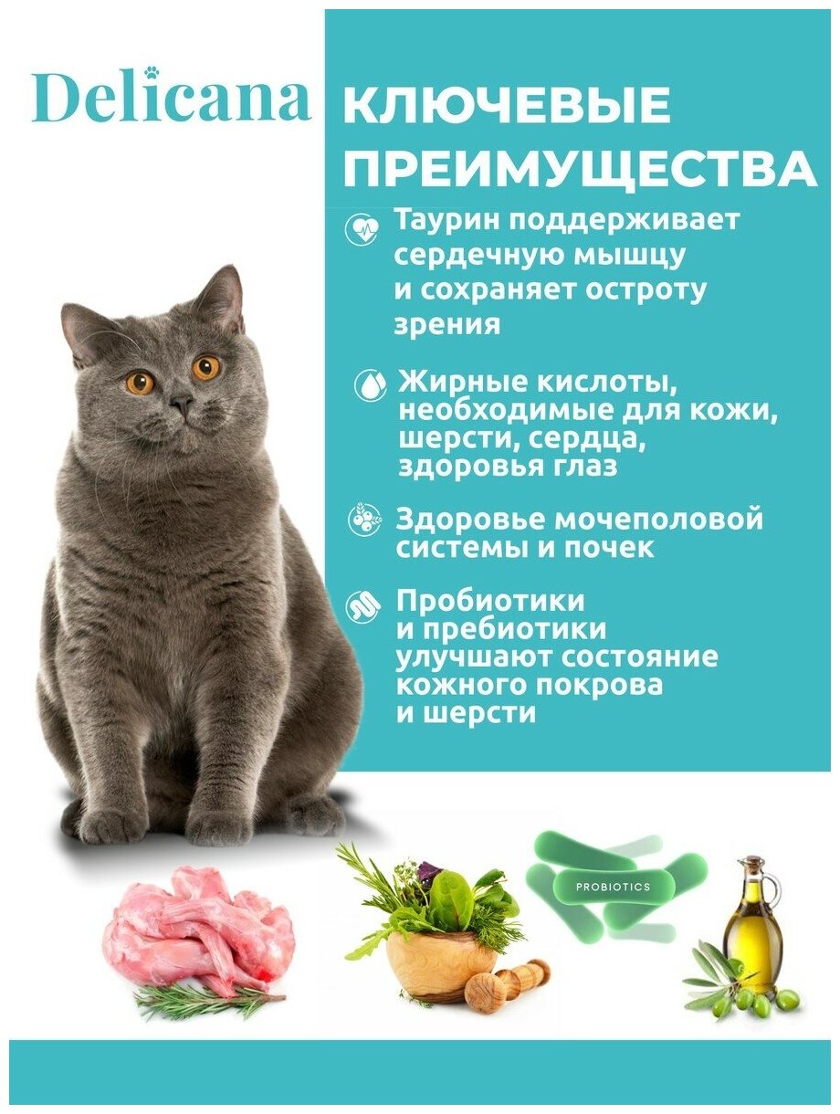 DELICANA сухой корм для стерилизованных кошек, Кролик 8кг. - фотография № 8