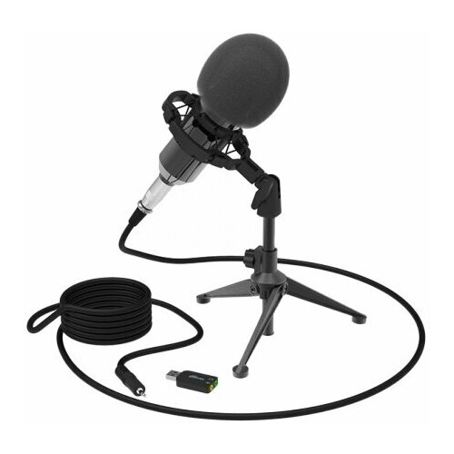 Микрофон проводной RITMIX RDM-160
