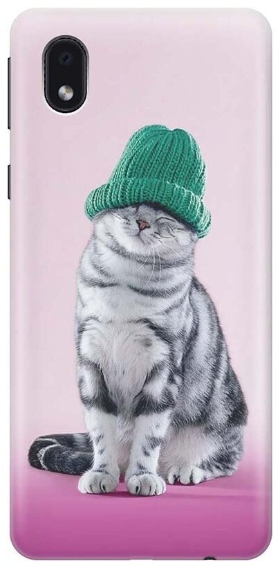 Ультратонкий силиконовый чехол-накладка для Samsung Galaxy A01 Core с принтом "Кот в зеленой шапке"