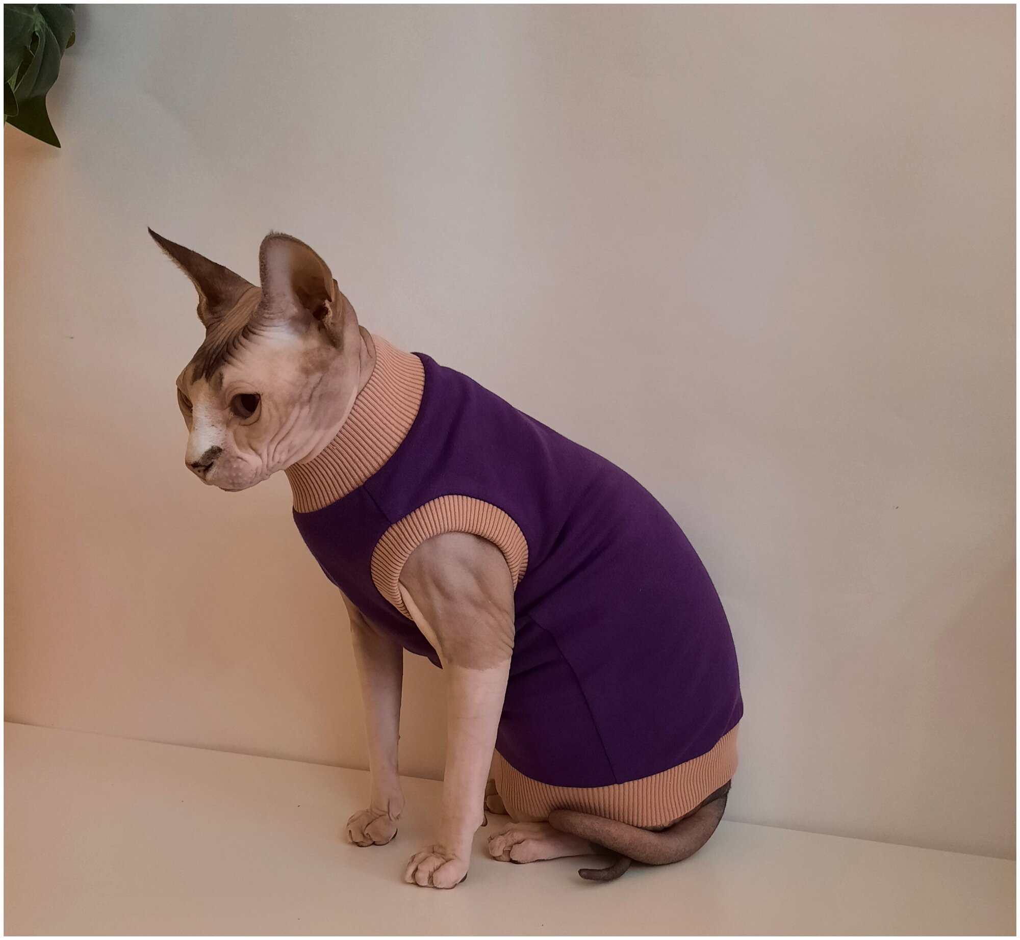Свитшот для кошек, размер 35 ( длина спины 35см), цвет фиолетовый / толстовка свитшот свитер для кошек сфинкс / одежда для животных - фотография № 1