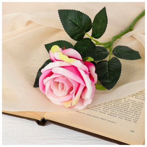 RAYDAY Цветы искусственные Роза венесуэльская 8х23 см розовый 306₽