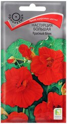 Семена цветов Настурция большая "Красный блик", 1 г