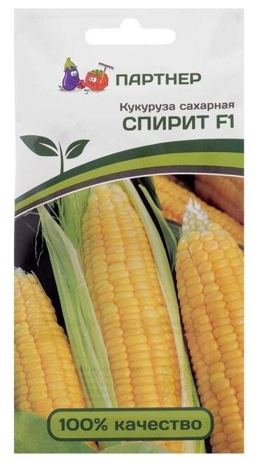 Семена Кукуруза сахарная "Спирит", 3 г