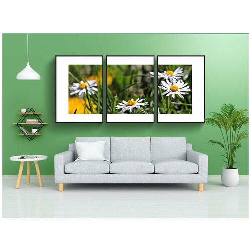 фото Набор модулных постеров для интерьера "маргаритка, луг, цветочный луг" 60x90 см. в тубусе, без рамки lotsprints
