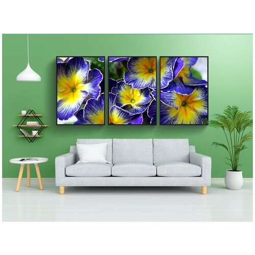 фото Набор модулных постеров для интерьера "первоцветы, цветы, цвести" 60x90 см. в тубусе, без рамки lotsprints