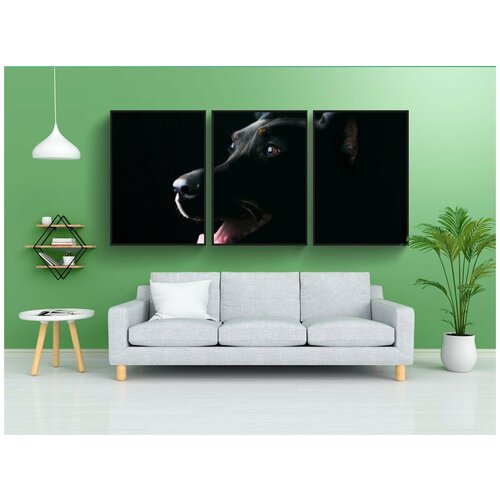 фото Набор модулных постеров для интерьера "собака, домашний питомец, животное" 60x90 см. в тубусе, без рамки lotsprints