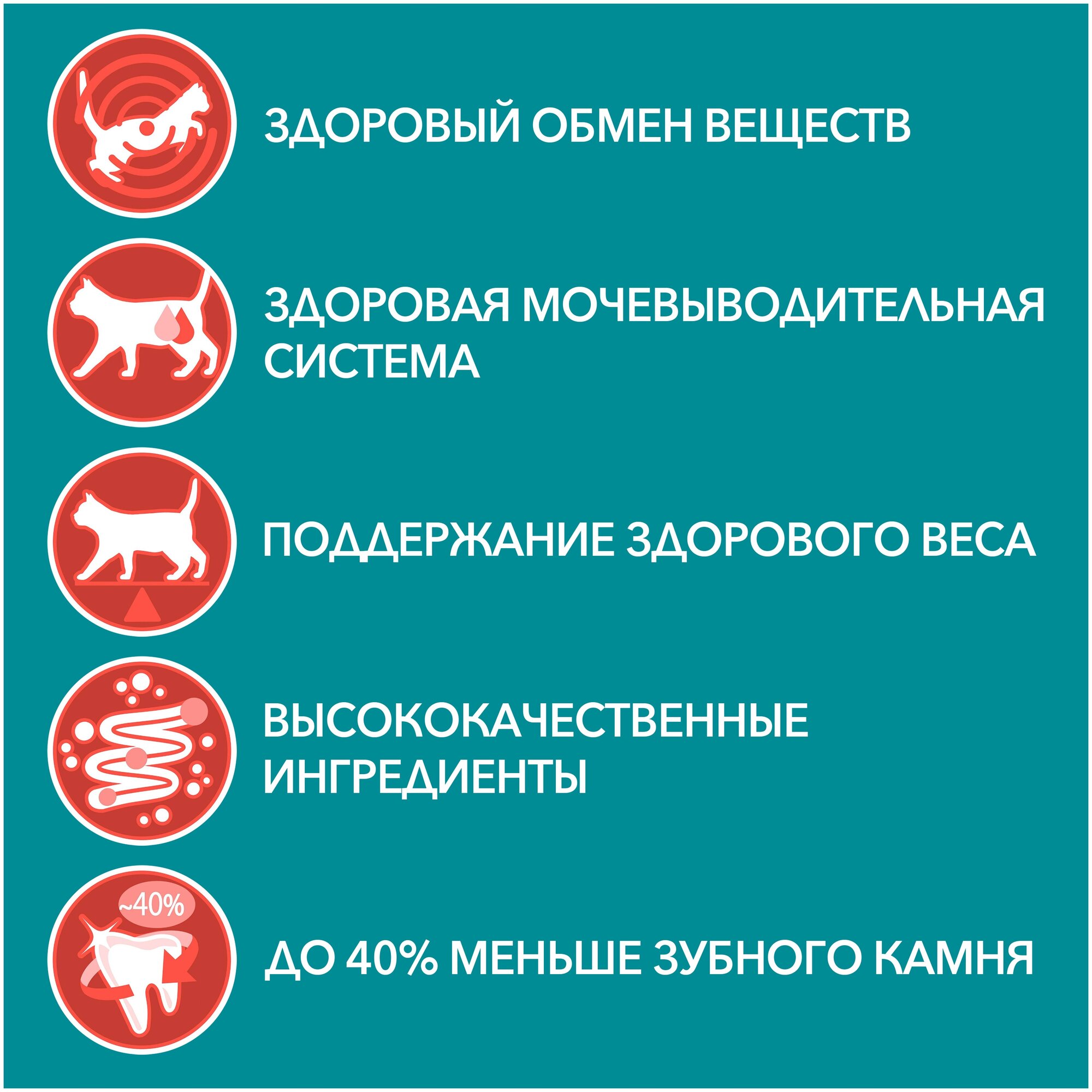 Сухой корм Purina ONE для стерилизованных кошек и котов с говядиной и пшеницей пакет 750г, для взрослых кошек - фотография № 15