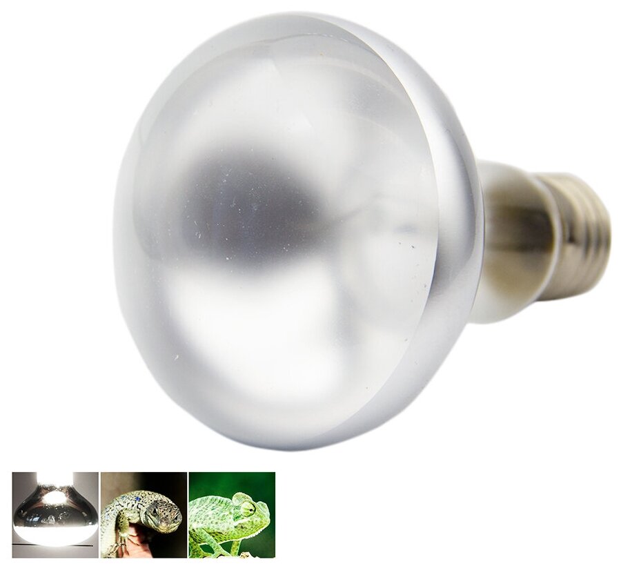 Лампа Basking Spot Lamp Normal дневного света греющая "Lucky Herp" R63, 50w, для рептилий — фото 1