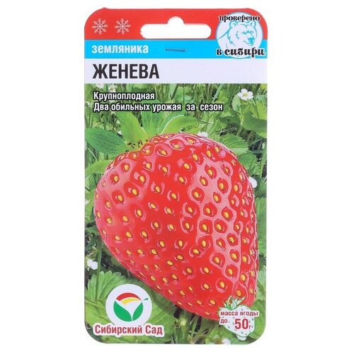 Земляника (клубника) Женева 2 пакета по 10шт семян земляника желтое чудо 2 пакета по 0 05г семян