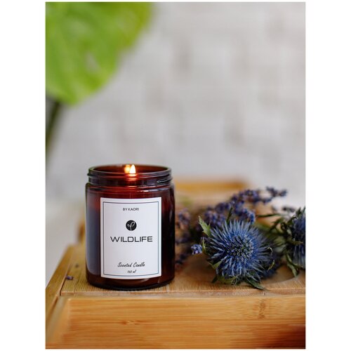 Ароматическая свеча / свеча ароматизированная / KAORI, 160 мл, аромат WILDLIFE (дикая природа)