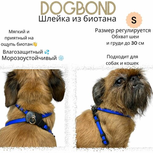 Шлейка Dogbond "Dogs Life" влагозащитная из биотана для собак малых пород и кошек