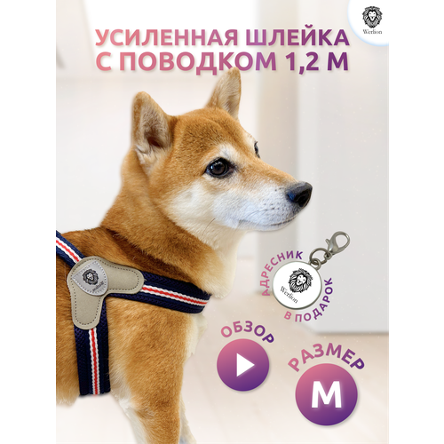 Шлейка для собак с поводком M