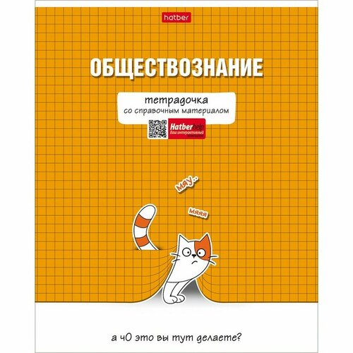 Тетрадь предметная Тетрадочка, 48 листов в клетку Обществознание, обложка мелованный картон, выборочный лак, со справочным материалом тетрадь предметная тетрадочка 48 листов в клетку обществознание обложка мелованный картон выборочный лак со справочным материалом