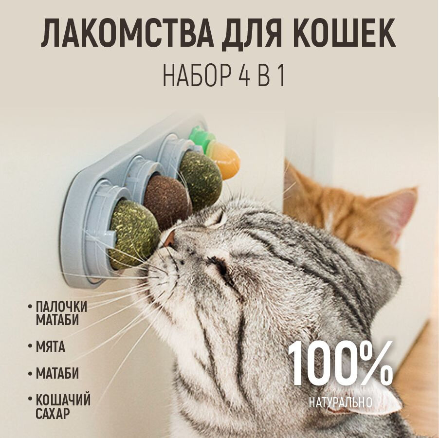 Кошачья мята мятная игрушка для кошек и котов шарик леденец конфета с кошачьей мятой лакомство для кошки товар для животных Ассорти 4 шт