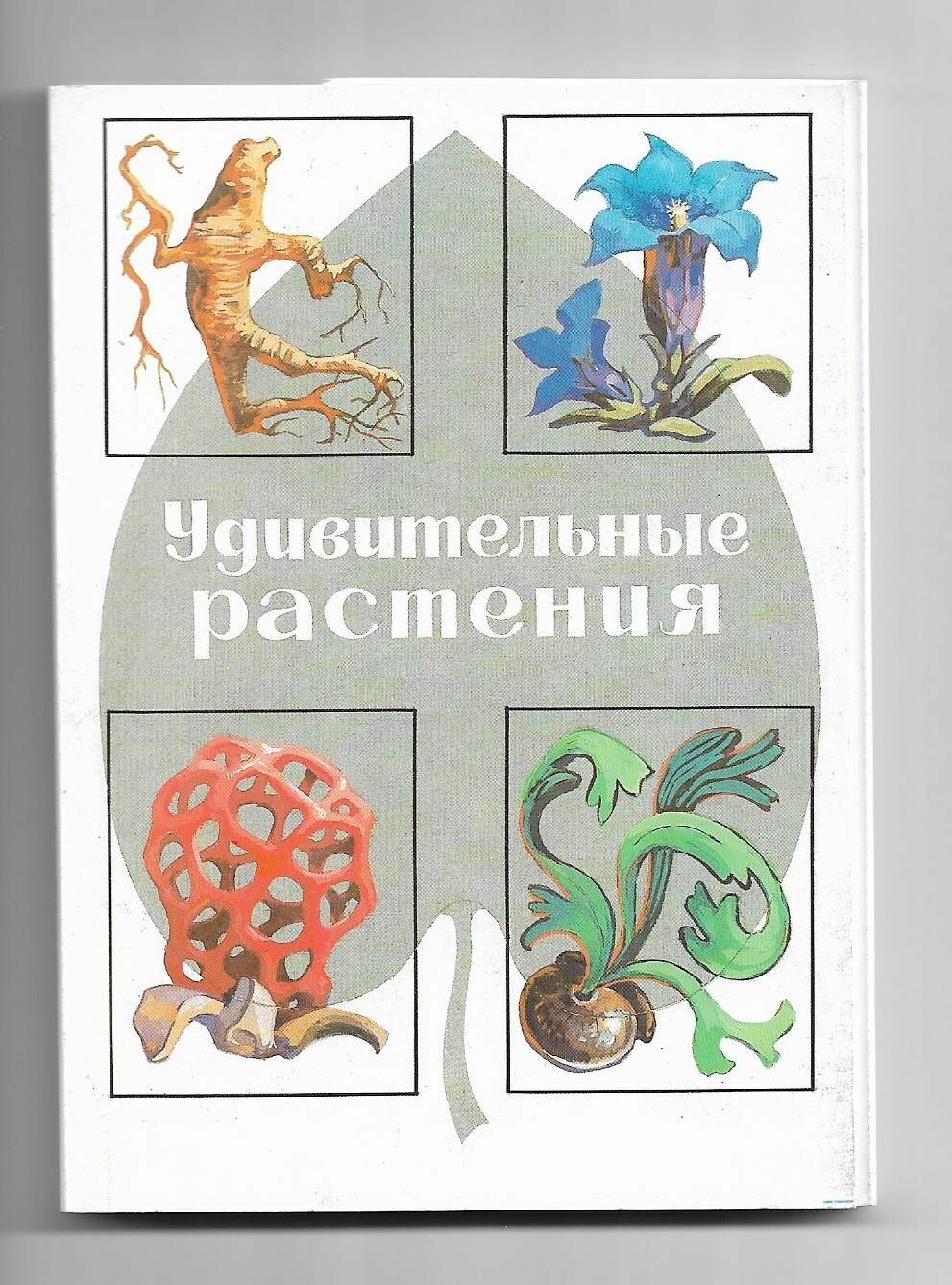 Комплект открыток СССР. Флора. Удивительные растения. 1989 год. Полный - 32 штуки. В люксе.