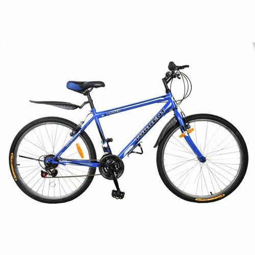 Велосипед Torrent Walker голубой 1838000₽