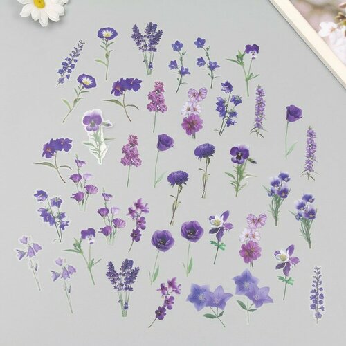 SUI Наклейки пластик Весенние цветы Сиреневые набор 40 шт 15х8 см 319₽