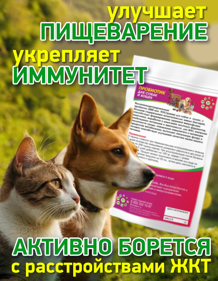Пробиотик для собак и кошек 100 гр