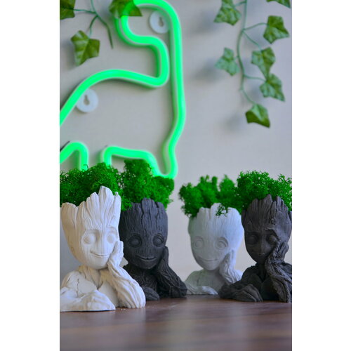 Большой интерьерный Набор Кашпо малыши Груты со мхом