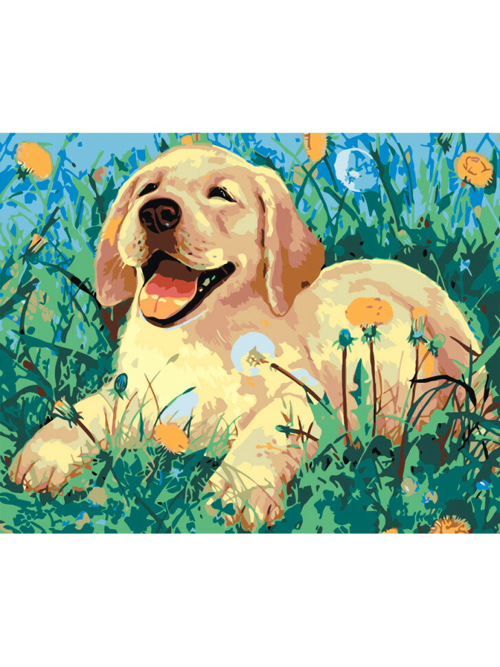 Картина по номерам "Собачка на траве" — фото 1