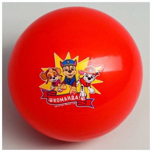 Paw Patrol Мяч детский Paw Patrol "Команда", 16 см, 50 гр, цвета микс