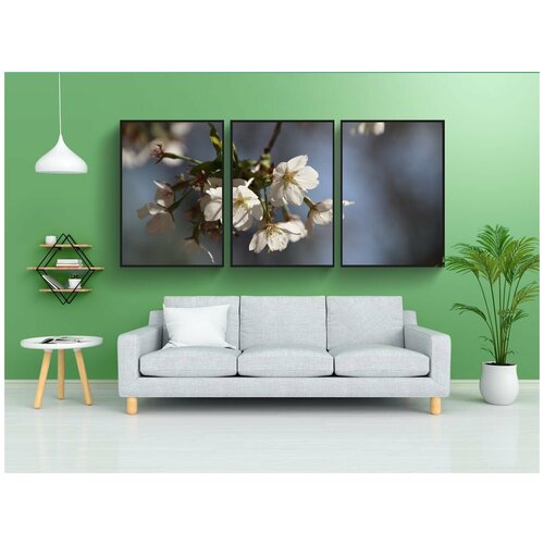 фото Набор модулных постеров для интерьера "цветение вишни, цветы, весна" 60x90 см. в тубусе, без рамки lotsprints