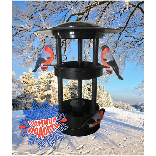 КС-3. Городская кормушка для птиц снегирь 3