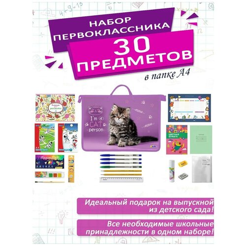 Набор школьника первоклассника канцелярский в папке А4, 30 предметов, для девочек