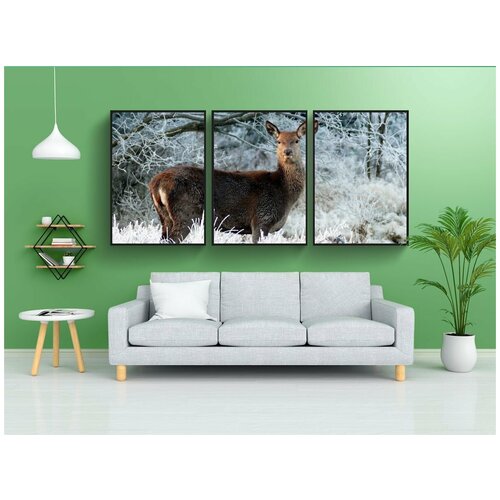 фото Набор модулных постеров для интерьера "олень, животные, природа" 60x90 см. в тубусе, без рамки lotsprints