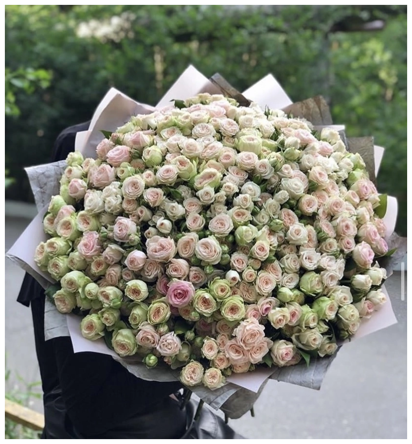 Букет Пионовидные розы 201 шт красивый букет цветов шикарный премиум букет.