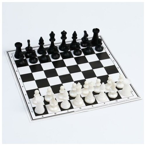 Набор шахматы и шашки, шахм. поле, фигуры пластик, король h=7 см, пешка h=4 см, d шашки=2.9 см розенфельд д король в поле
