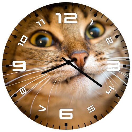 фото Svs настенные часы svs 3501607 котэ