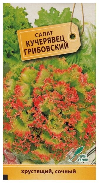 Салат Кучерявец Грибовский 510 семян