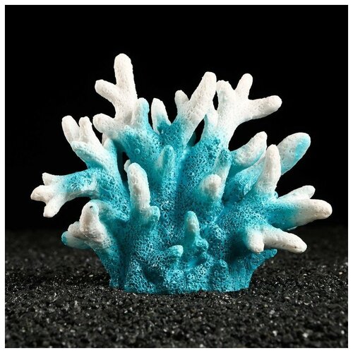Декоративный коралл Синулярия, 18 х 9 х 14 см, голубой коралл laguna монтипора искусственный красный для аквариумов 18 х 9 5 х 18 5 см