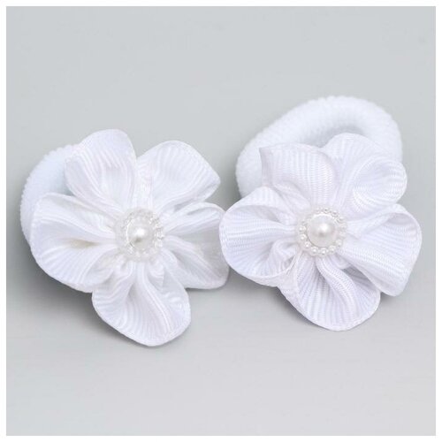 Набор резинок белый бант 2 шт Блум WINX 328₽