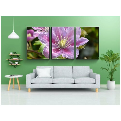 фото Набор модулных постеров для интерьера "цветок жасмина, завод, розовый" 60x90 см. в тубусе, без рамки lotsprints