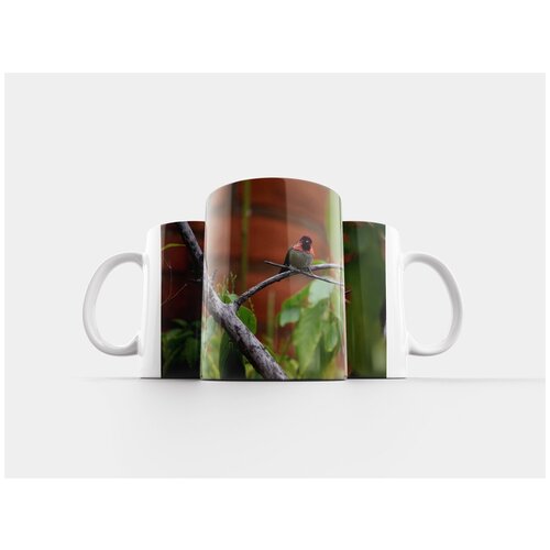 фото Кружка "колибри, дикий, птица" 320 мл lotsprints