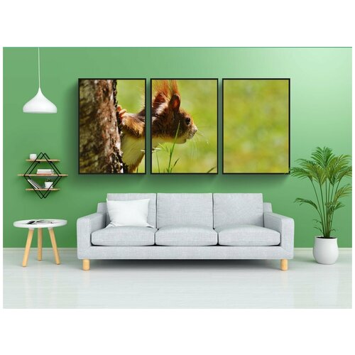 фото Набор модулных постеров для интерьера "белка, грызун, милый" 60x90 см. в тубусе, без рамки lotsprints