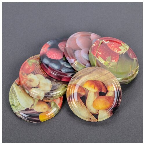 Крышка для консервирования Элит ТО-66 мм винтовая литография лакированная упаковка 20 шт цвет микс 278₽