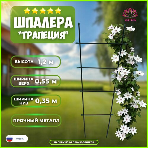 опора для растений шпалера регулируемая Шпалера для вьющихся растений Трапеция, высота 1,2 м, ширина верх 0,55 м, ширина низ 0,35 м