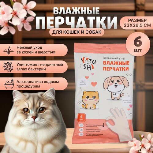 Влажные салфетки-перчатки Youshi для собак и кошек
