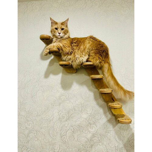 Лестница для кошек