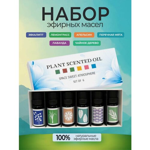 фото Эфирные масла essential oil. набор водорастворимых эфирных масел для увлажнителя воздуха из 6 ароматов.