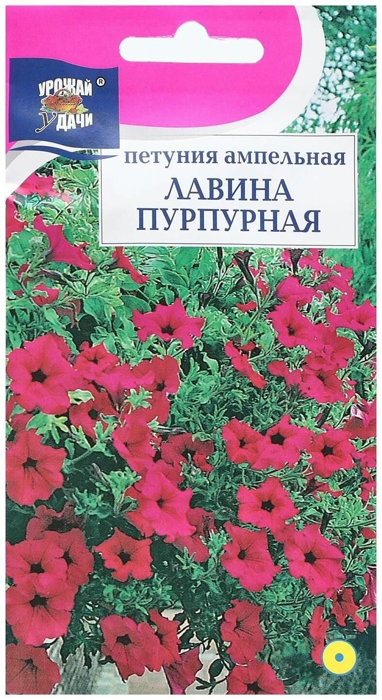 Семена цветов Петуния ампельная Лавина Пурпурная, 10 шт.